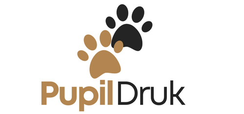 Pupil Druk™